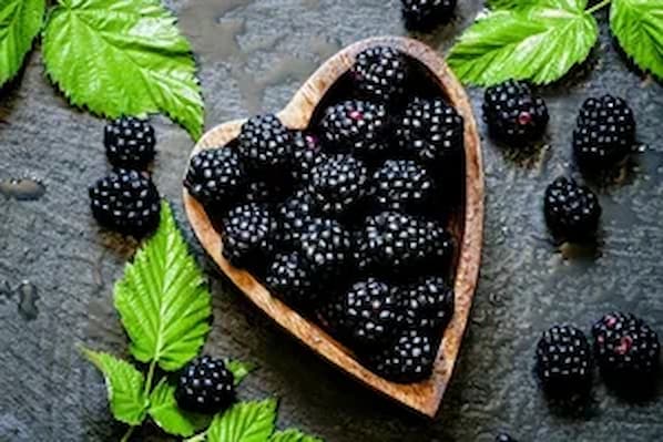 تصویر 3 از فروش شیره توت ارگانیک + قیمت خرید به صرفه